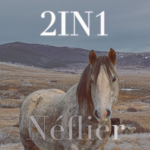 2in1