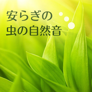 森の中の自然音: 川のせせらぎと鳥のさえずり, リラックスBGM