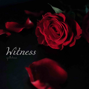 Witness by CYINTHEHOUSE