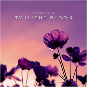 Twilight Bloom by Matteo Heller