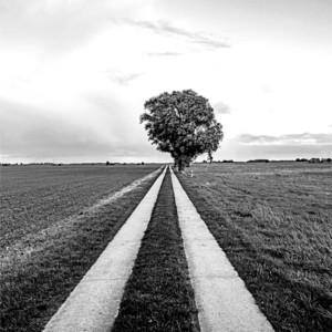 Gunnar Zander — Pampin (2026)