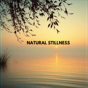 NATURAL STILLNESS by AnggiJoo