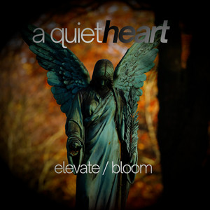 Bloom by A Quiet Heart