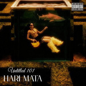 Untitled 101 by Hari MATA