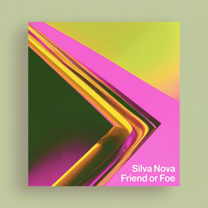 Friend or Foe by Silva Nova