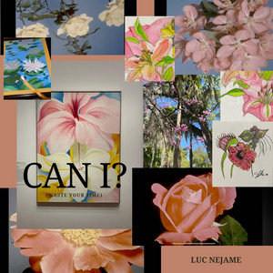 Luc NeJame - Can I?
