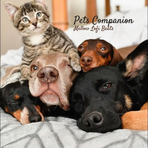 Pets Companion: Mellow Lofi Beats album