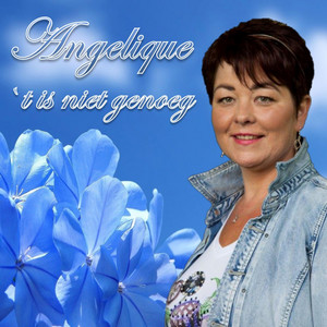 ` t Is Niet Genoeg