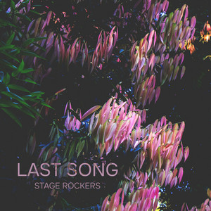 Обкладинка: Last Song - Radio Edit