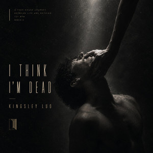 I Think I'm Dead by Kingsley Luo