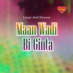 Liaqat Abid Kharani - Ghumoo Dosi Dilbara