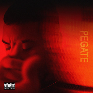 PEGATE by DONN