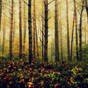 Onurb Med - Eternal Hope