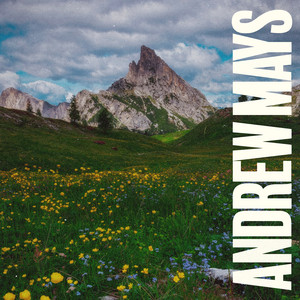 Chasing Bliss by Andrew Mays