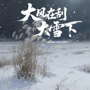 大风在刮大雪在下- Single by 魏佳艺| Spotify