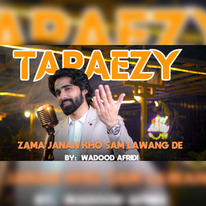 Wadood Afridi - Zama Janan Kho Sam Lawang De
