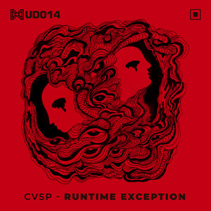Runtime Exception