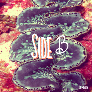 Side B by BerNos