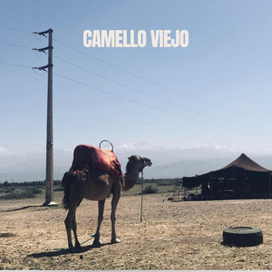 Camello Viejo by MECHAS
