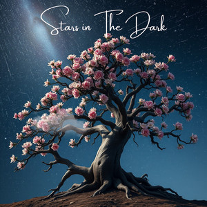 Chanita Esgaline - Stars in the Dark