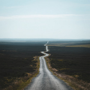 The Way by Onlyoma