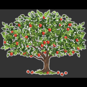 Apple Tree