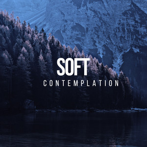 # 1 Album: Soft Contemplation album