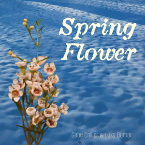 Spring Flower