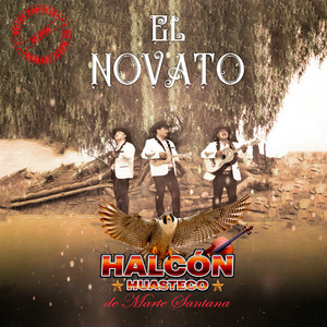 Halcón Huasteco de Marte Santana - El Novato (En Vivo)