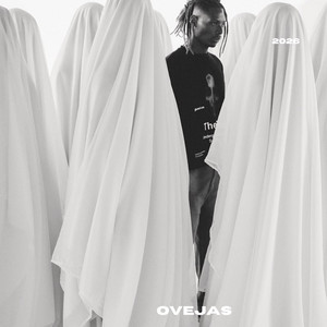 Ovejas by MECHAS