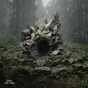 All I See by Naden