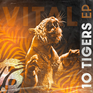 Nines & Vests by Vital