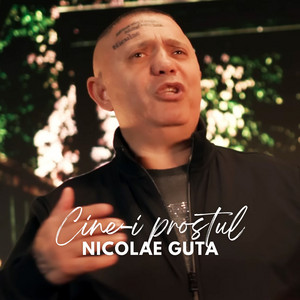 Nicolae Guță - Cine-i prostul