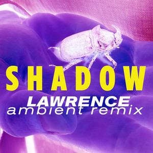 Shadow (Lawrence Ambient Remix) by Dominique, Lawrence