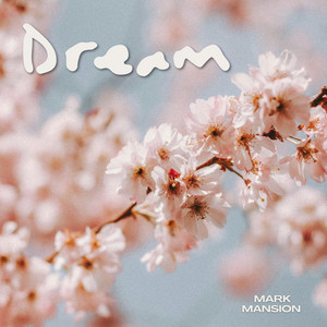 Dream (Radio Edit) by Mark Mansion