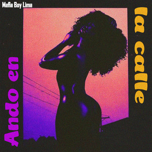 Ando en la Calle by Mafia Boy Lima
