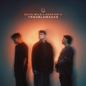 TROUBLEMAKER by Devin Wild, Chapter V