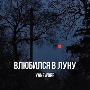 Обкладинка: Влюбился в луну
