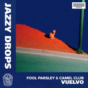 Vuelvo by Fool Parsley, Camel Club
