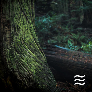 Peaceable Sounds of Nature Noises for Sleep