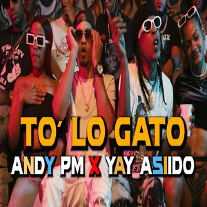 Andy PM - To Lo Gato (feat. Yay Asiido)