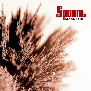 Sambaleu by Spoum