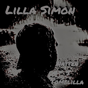 Natten i Tomelilla by Lilla Simon