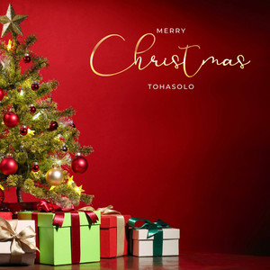 tohasolo — Mery Christmas