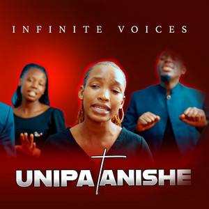 Unipatanishe by Infinite Voices