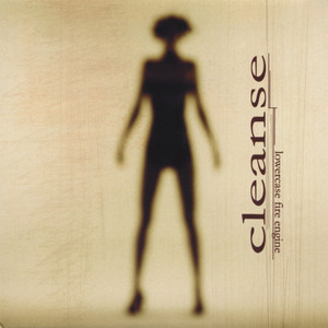 cleanse poster