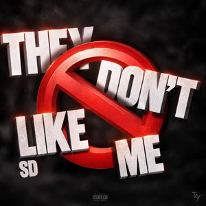 they don't like me by sd