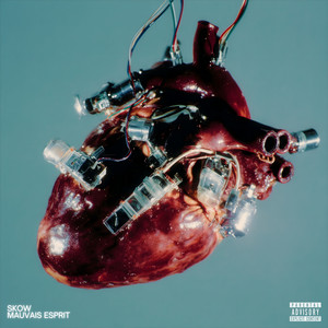 MAUVAIS ESPRIT by SKOW