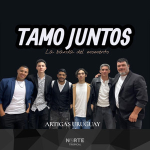 Tamos Juntos - TICU TICU
