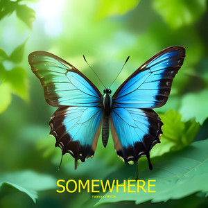 Somewhere